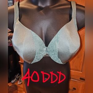 Elegant Lace Trim Bra in Green 40DDD